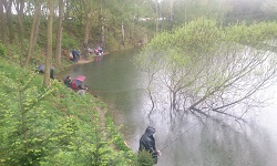 Pohled z davu na stage